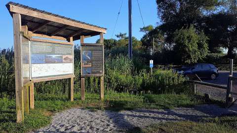 Long Point Birding Trail 8 (Big Creek NWA Marsh)